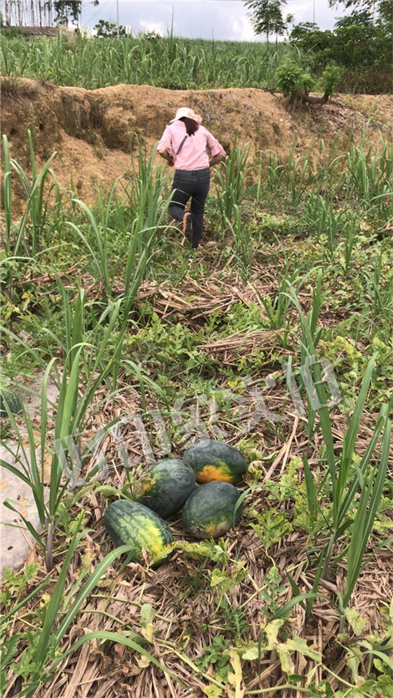 好印象纸巾|好印象纸品|好印象纸业