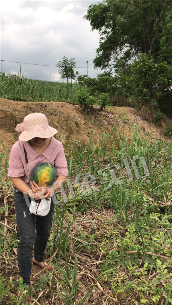 好印象纸巾|好印象纸品|好印象纸业