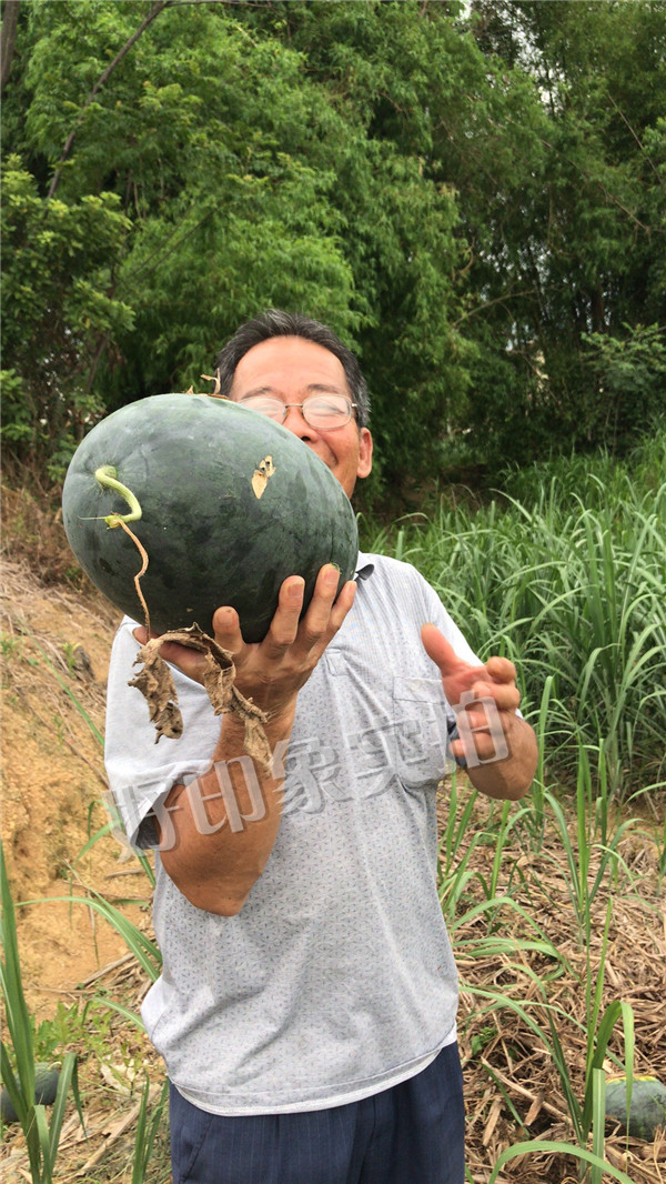 好印象纸巾|好印象纸品|好印象纸业